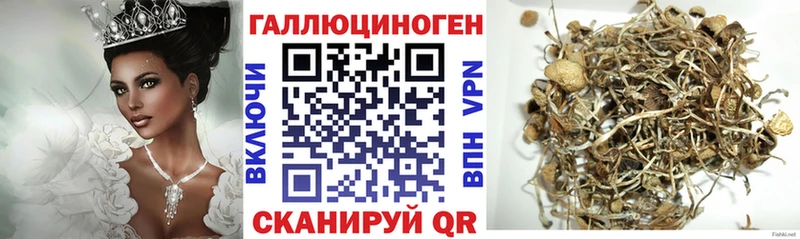 Псилоцибиновые грибы мухоморы Новочеркасск